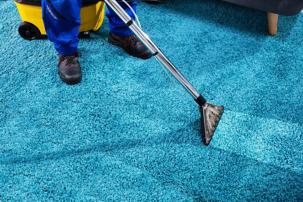 professional cleaning company